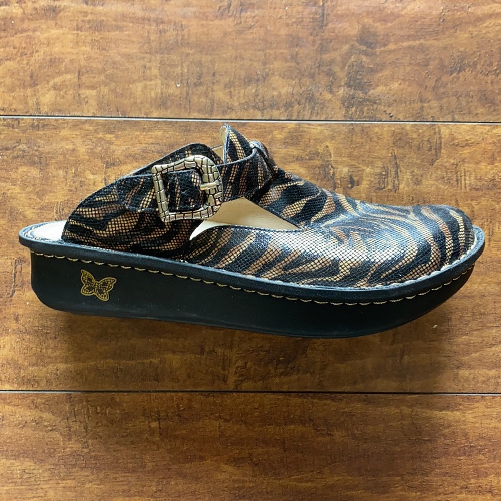 Alegria classic